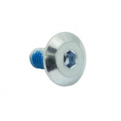 FR - AXS/EZX MOUNTING SCREW - Silver - 12 mm